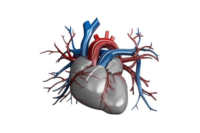 Carmat annonce la reprise de son coeur artificiel.