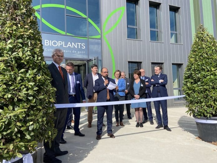 Bioplants produit 6 millons d'herbes aromatiques.