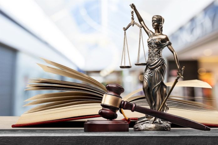 Edigio a une nouvelle administratice avec Elise Chaumon