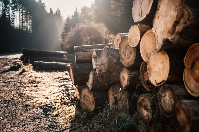 Le groupe Poujoulat inaugure Bois-Factory 70, sa troisième et plus importante unité de production française de bois bûche haute performance.