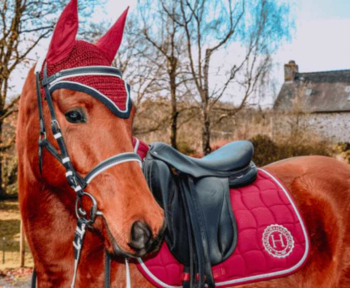 Equi-Bride : la petite sellerie bretonne cartonne grâce au numérique.